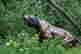 item-130931452=3