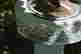 item-130931460=5