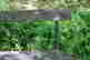 item-130931532=2