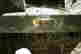 item-130931554=2