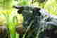 item-130931561=2