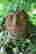 item-130931602=4
