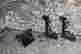 item-130931709=2