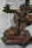 item-136377763=2