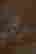 item-136377848=3