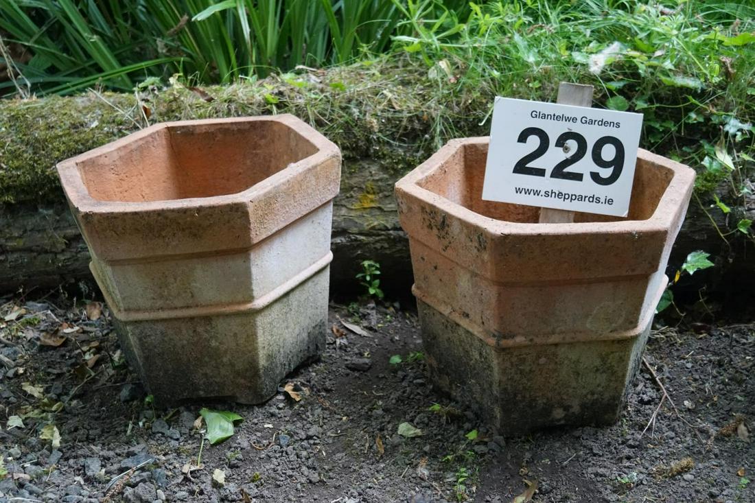 PAIR OF WEATHERED TERRACOTTA GARDEN PLANTERS: each of hexagonal tapered form. 33 cm. high; 38 cm. in diameter; Approximate Time: 14:25 Lot No: 229 Category: Garden & Decorative Objects