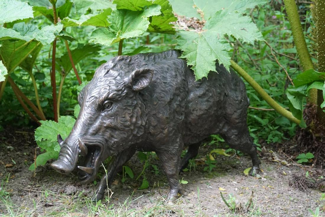 LARGE BRONZE GARDEN SCULPTURE: Figure of a wild boar. 50 cm. high; 100 cm. wide Approximate Time: 14:35 Lot No: 240 Category: Garden & Decorative Objects
