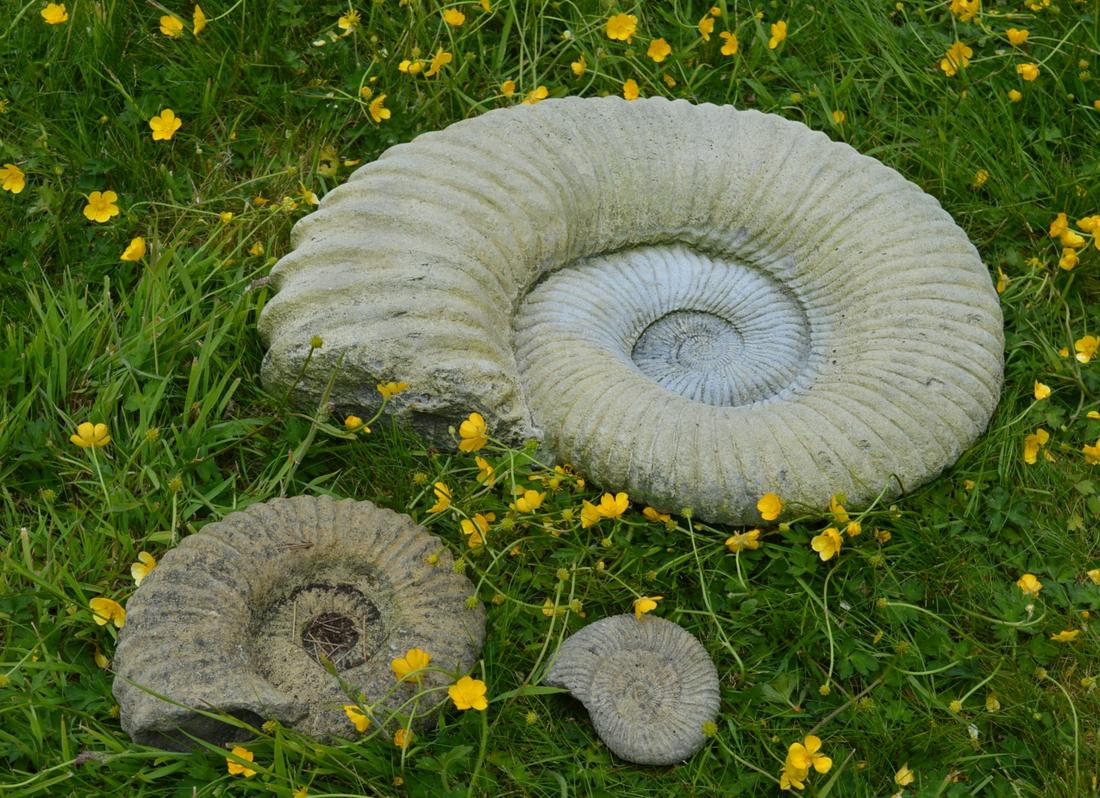 MOULDED STONE SCULPTURE: Modelled as a fossil. 40 cm. high; 50 cm. wide Approximate Time: 10:26 Lot No: 430 Category: Garden & Decorative Objects