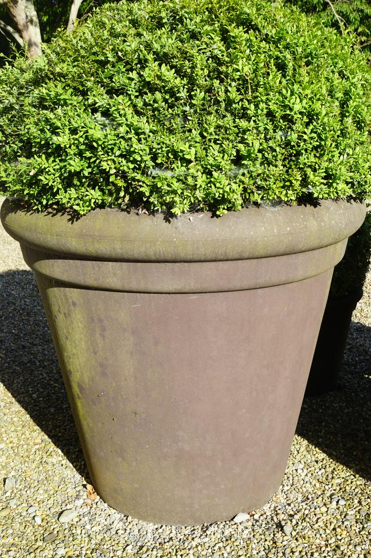 PAIR OF BOX HEDGE BALLS: each in a tapered jardiniere. 105 cm. high; 120 cm. in diameter; Approximate Time: 16:07 Lot No: 743 Category: Garden & Decorative Objects