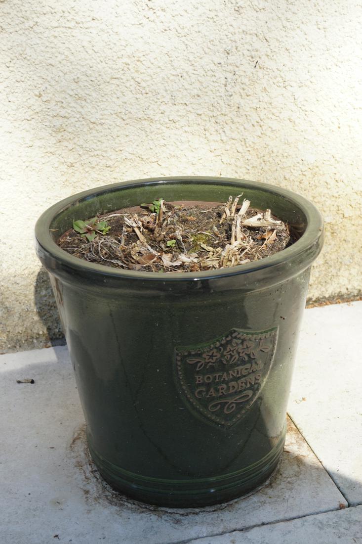 PAIR OF GLAZED CERAMIC PLANTER POTS: of circular tapered form, inscribed Botanical Gardens. 40 cm. high; 40 cm. in diameter; Approximate Time: 17:22 Lot No: 826 Category: Garden & Decorative Objects