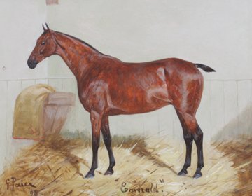 George Paice: George Paice , Chestnut hunter “Emerald” , Oil on canvas 24 x 31 cm.
