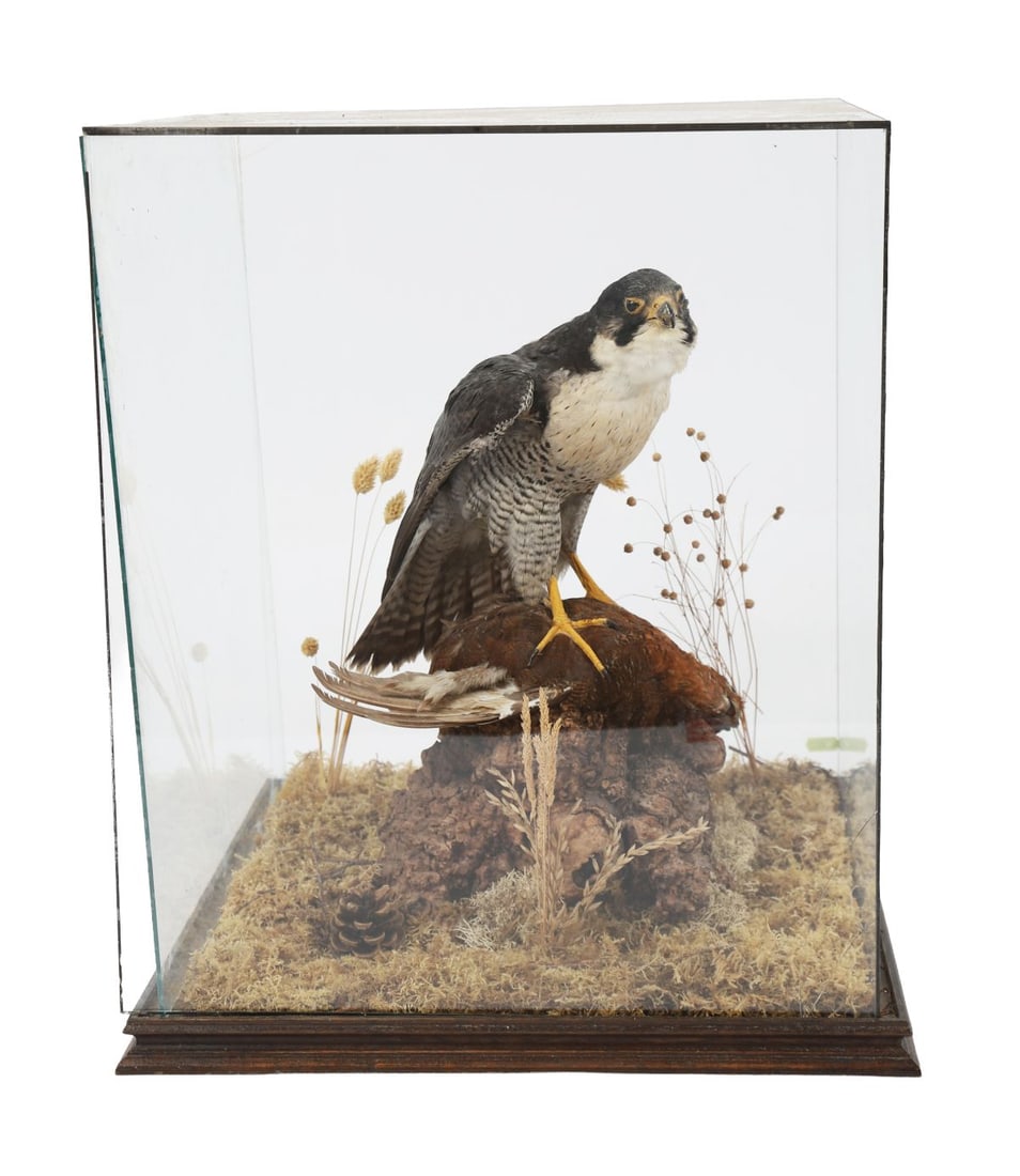 TAXIDERMY GROUP OF AN OWL WITH PREY (1 of 2)