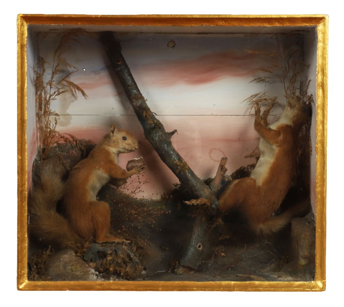 TAXIDERMY CASED GROUP OF SQUIRRELS (1 of 1)