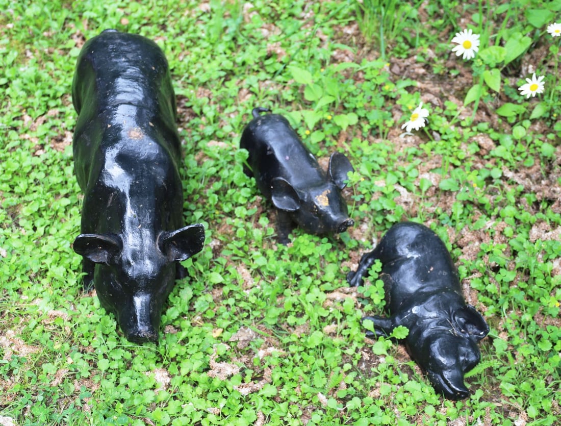 CAST IRON SOW AND TWO PIGLETS (1 of 2)