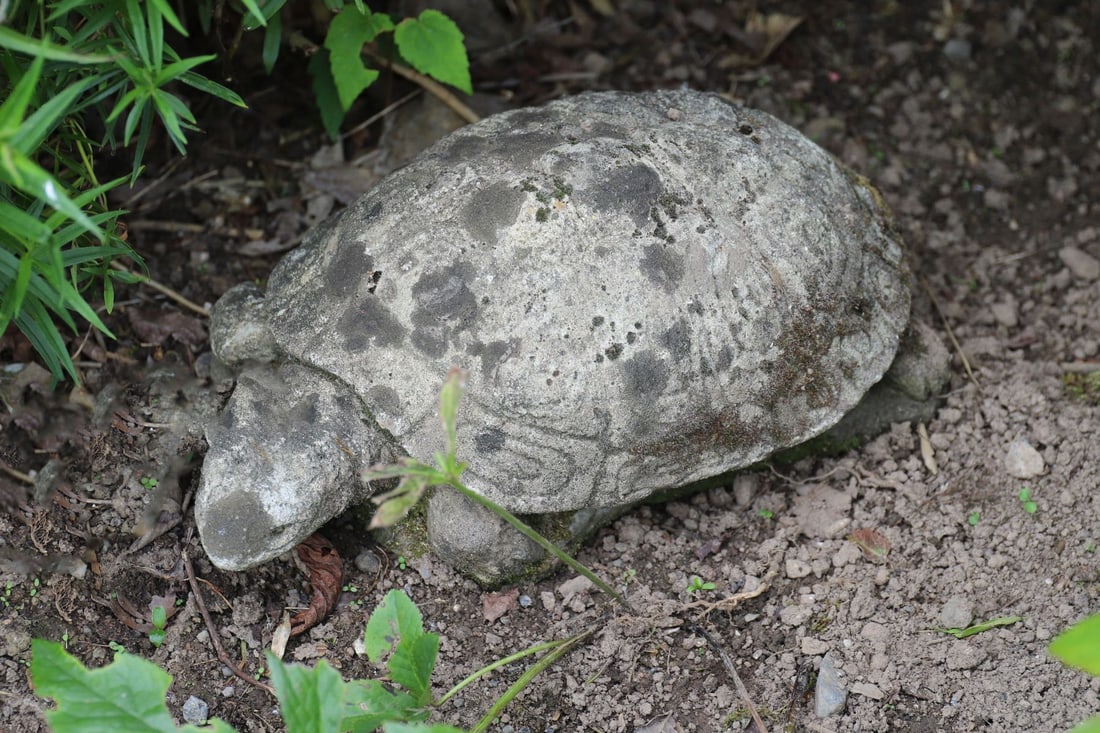 COMPOSITE STONE TORTOISE GARDEN ORNAMENT (1 of 2)