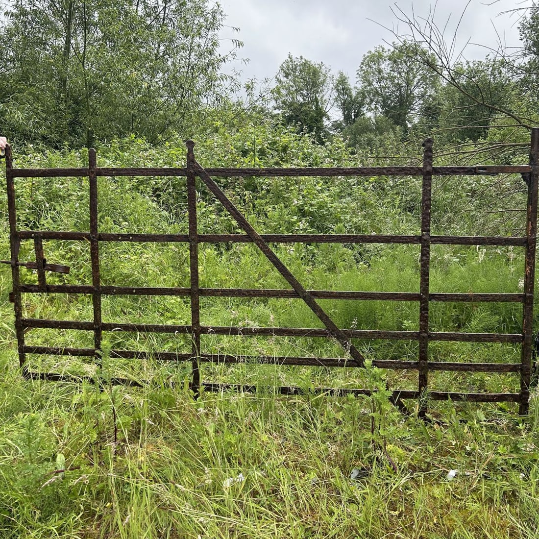 WROUGHT IRON FIELD GATE: Wrought iron field gates of simple barred form with diagonal bracing. Weathered surface.