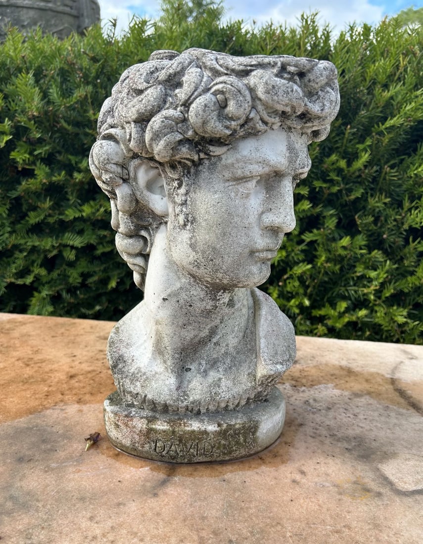 CLASSICAL BUST OF DAVID (1 of 1)