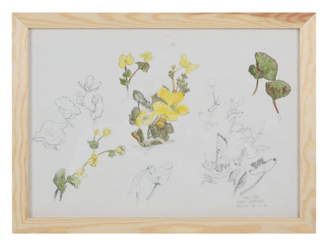 PATRICK HICKEY HRHA (1927 - 1998): Title: King Cups, Cruit, Donegal (1990)Medium: Pencil and Coloured Pencils on PaperSignature: Unsigned; Titled and Dated Lower RightProvenance: Family of the artist, by descent; Private CollectionFram