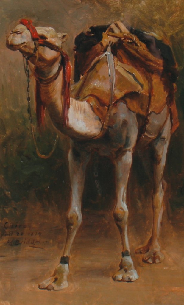 Frederick Arthur Bridgman, 1847 - 1928: Frederick Arthur Bridgman, 1847 - 1928 Study of a camel, Oil on board, Signed, dated and inscribed “Cairo, April 21 1874 FA Bridgman”, Frederick Bridgman (1847-1928) was the foremost American pain