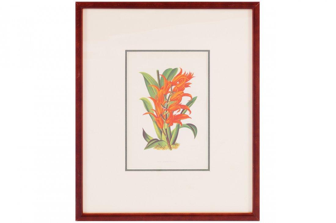 Set of four nineteenth-century chromolithographs, circa (1 of 4)