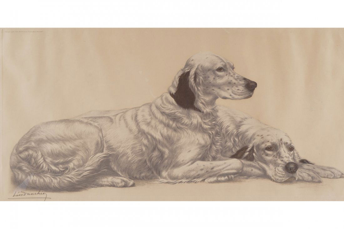 AFTER LEON DANCHIN: Two black and white setters Print Signed Enclosed in a gilt frame 50 x 90 cm.