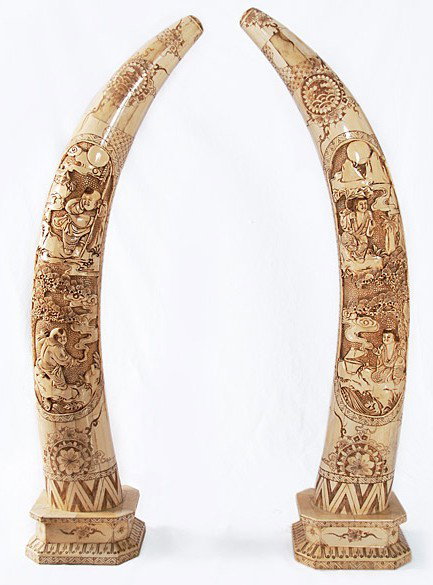 PAIR - HAND CARVED BONE TUSKS: PAIR - HAND CARVED BONE TUSKS - VERY INTRICAT"E CARVING - MINT CONDITION - 28"H