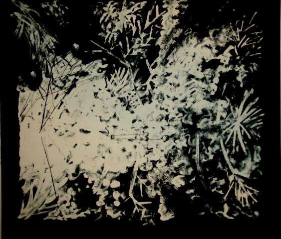 ALEXANDER "SAN BLAS III" - HAND SIGNED LITHOGRAPH: PETER ALEXANDER "SAN BLAS III" - HAND SIGNED AND NUMBERED LITHOGRAPH - IMAGE SIZE APPROX. 22X23 - AUTHENICATED WITH CERTIFICATION - FRAMED AND MATTED - MINT