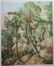 CEZANNE HAND COLORED ETCHING