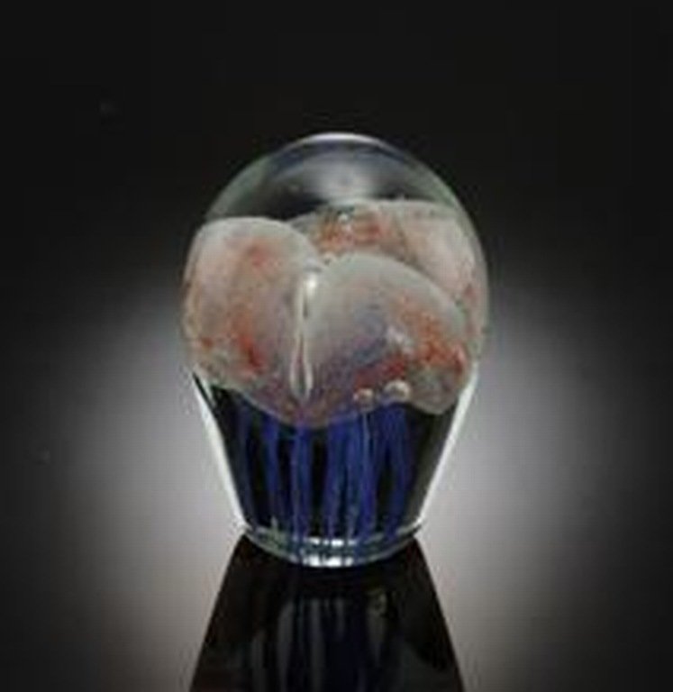 ART GLASS TRIPLE JELLYFISH : BEAUTIFUL TRIPLE ART GLASS JELLYFISH - 4.5"H - HAND CRAFTED - EACH PIECE IS MADE BY HAND THEREFOR THERE MAY BE SLIGHT VARIATIONS WITHIN EACH INDIVIDUAL PIECE
