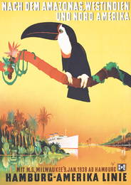 371: ORIGINAL Fuss Travel Poster Tucan