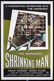 Original 1960s US 1-Sheet Incredible Shrinking Man