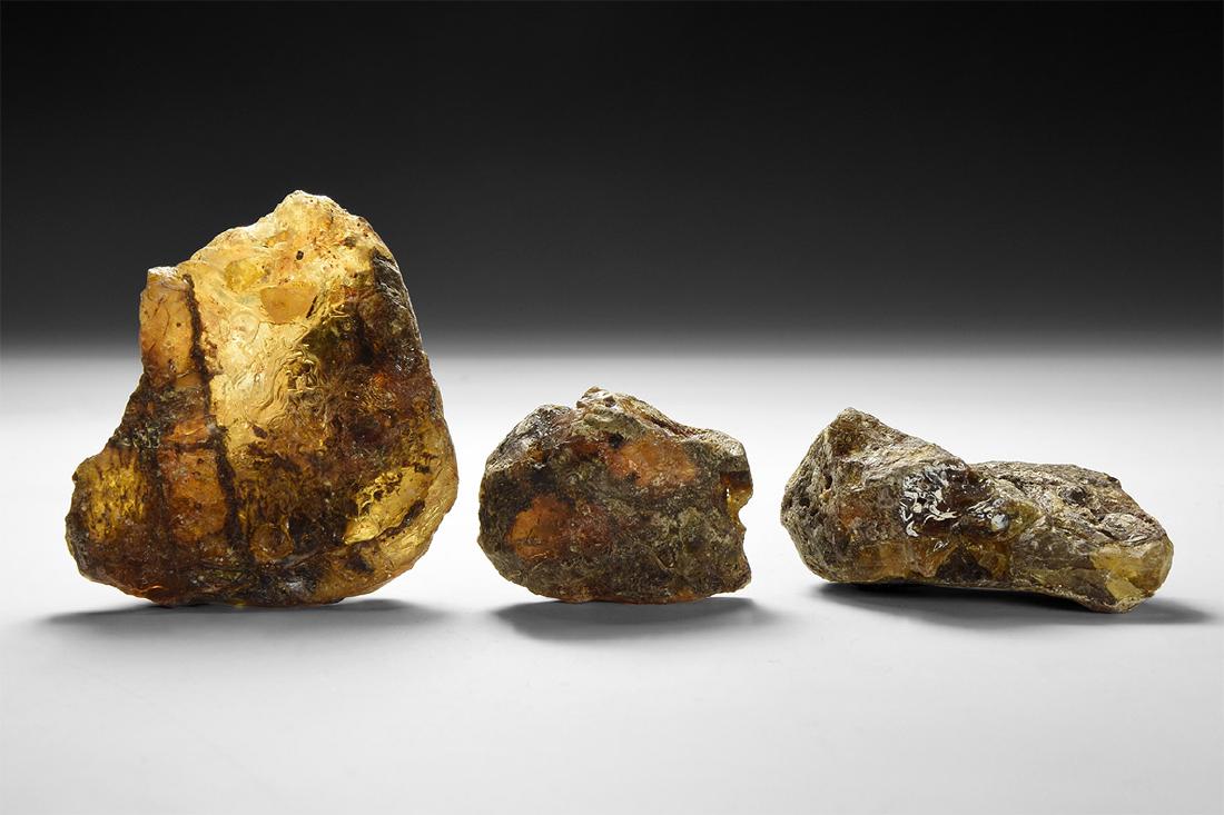 Large Natural Amber Specimens. (1 of 1)