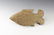 Chinese Carved Bifacial Fish