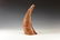 Chinese Horn with Taoist God