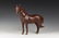 Chinese Painted Horse