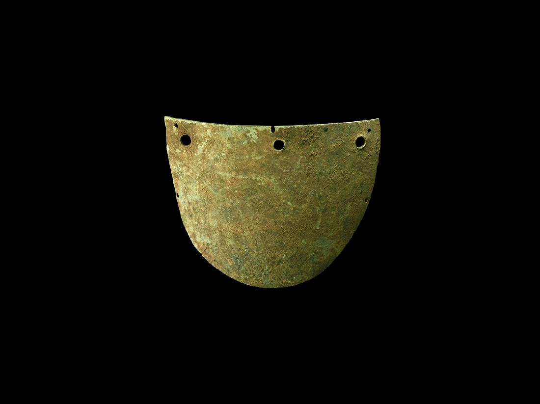 Roman Shoulder Armour Plate (1 of 1)