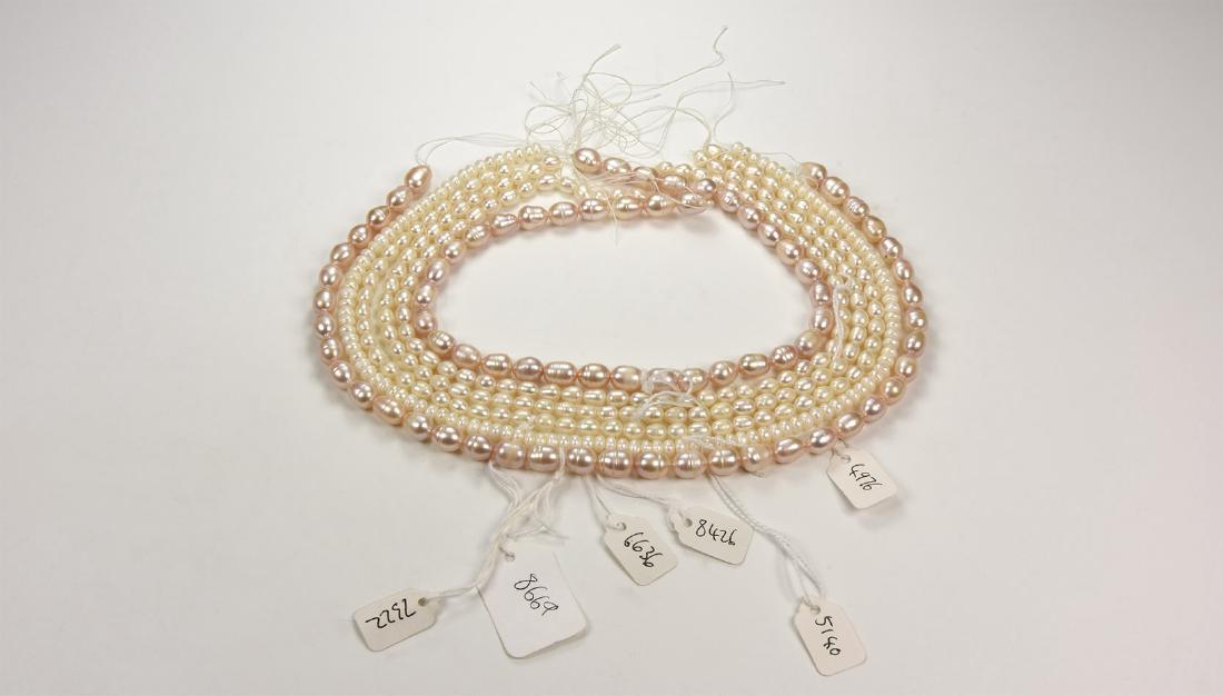Modern Pearl Necklace Group (1 of 1)