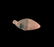 Egyptian Greywacke Animal-Shaped Palette