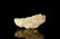 Natural History - British Quartz Mineral Specimen