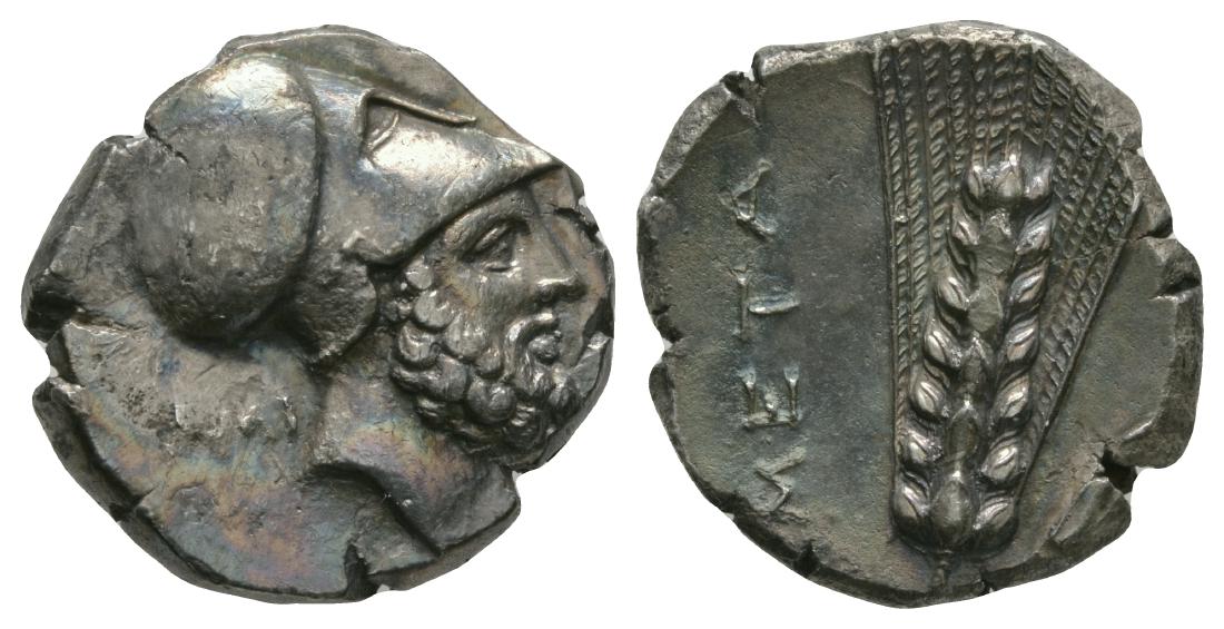 Lucania - Metapontum - Leukippus Nomos: 340-330 BC. Obv: helmeted head of Leukippos right, AMI behind head. Rev: META legend upwards on left, seven-grained barley ear with leaf to right, thunderbolt above leaf (off flan"). Johnston Class B4
