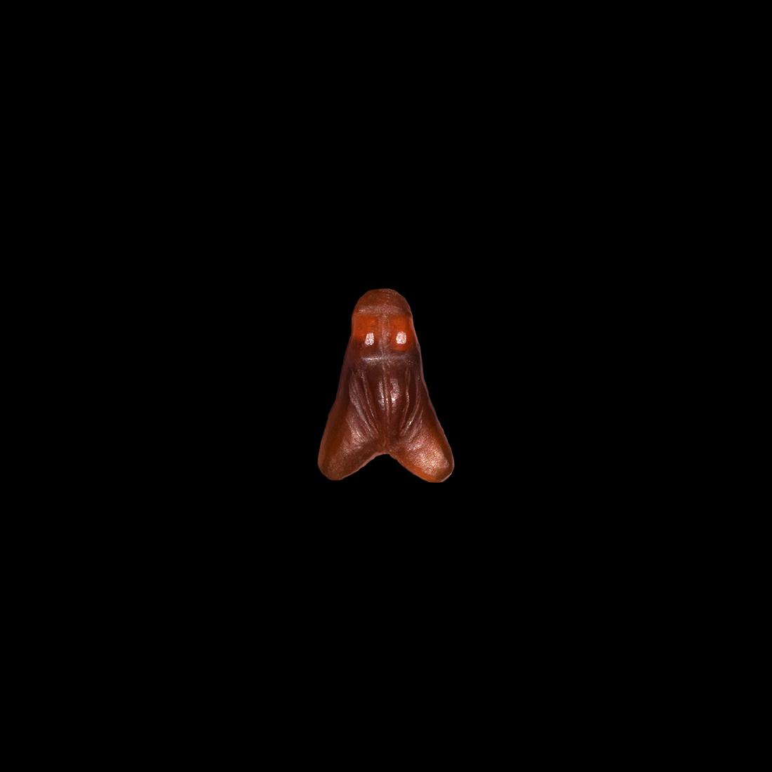 Egyptian Fly Amulet: New Kingdom, 1550-1070 BC. A carved red carnelian pendant in the form of a fly, suspension loop above the head. Cf. Christie's, 14 April 2011, Lot 66, Baron Empain collection (1852-1929"). 0.34 grams,