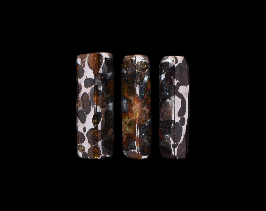 Natural History - Brahin, Seymchan and Habaswein (1 of 1)