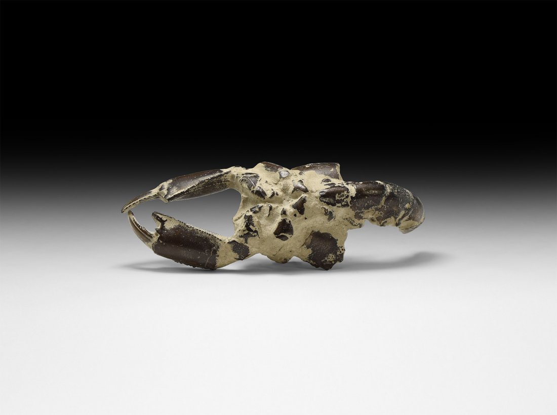 Natural History - Fossil Mud Lobster (1 of 1)