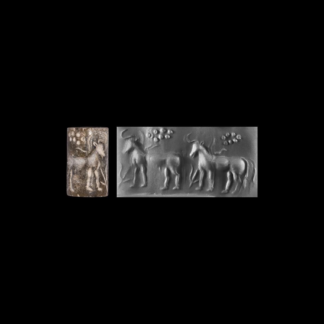 Middle Assyrian Cylinder Seal: Cattle and Pleiades: Mid 15th-12th century BC. A carved limestone Middle Assyrian cylinder seal with cattle and Pleiades; looking left two cattle, a bull and a cow, walk in a row; from each neck, three flashes rise upward