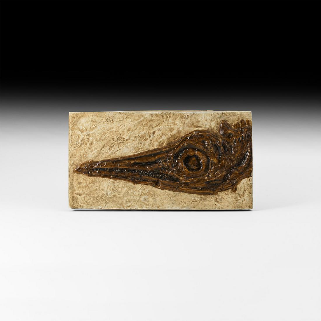 Natural History - Replica Icthyosaur Skull (1 of 1)