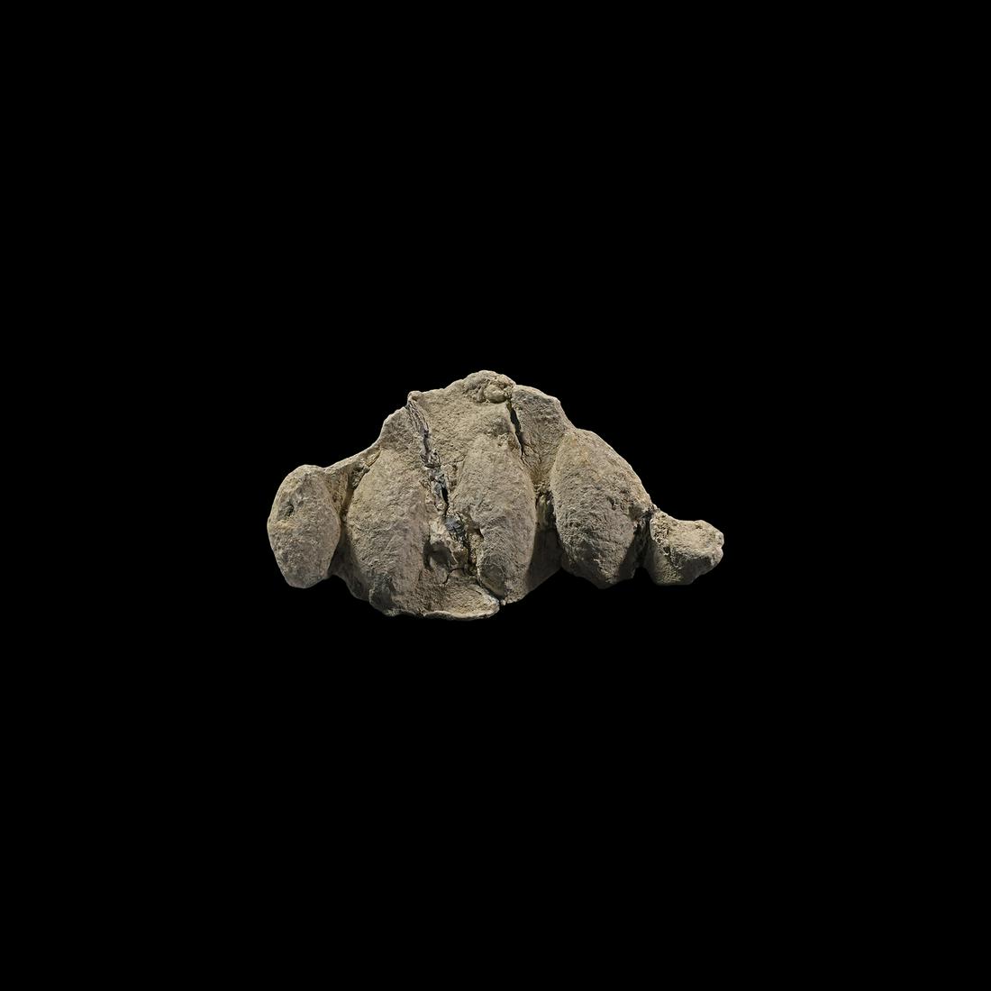 Roman Republican Lead Slingshot Matrix: 1st century BC. A lead casting matrix containing three complete and two partial ovoid slingshots. 357 grams, 10.8cm (4 1/4"). Property of a Middlesex gentleman; acquired in the 1980s.