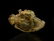Large Madagascar Cut Fossil Tree Trunk Section