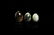 Polished Crystal Mineral Specimen Egg Group