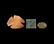 Polished Crystal Mineral Specimen Collection