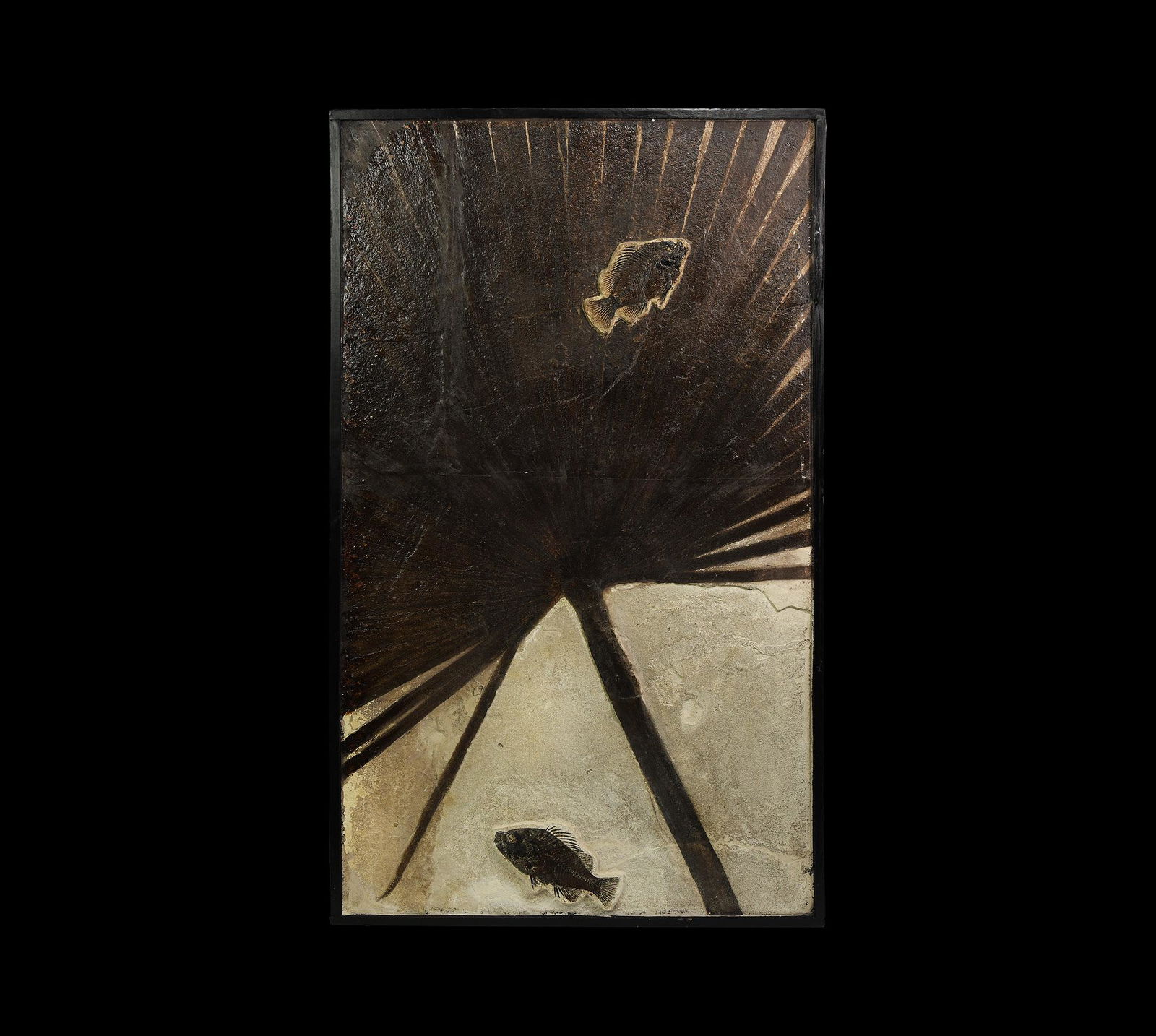 Fish and Plant Fossil Montage (1 of 1)